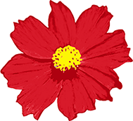 屏東汽車客運股份有限公司